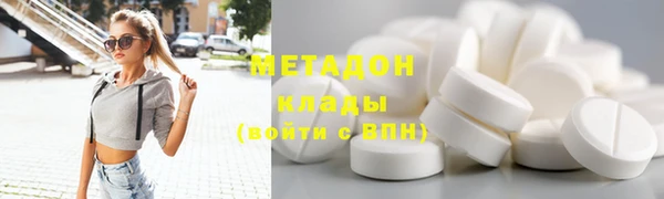 ПСИЛОЦИБИНОВЫЕ ГРИБЫ Дмитриев