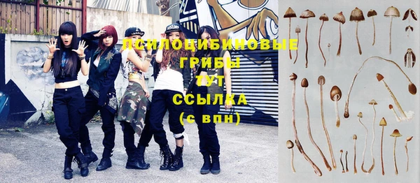 меф VHQ Гусев