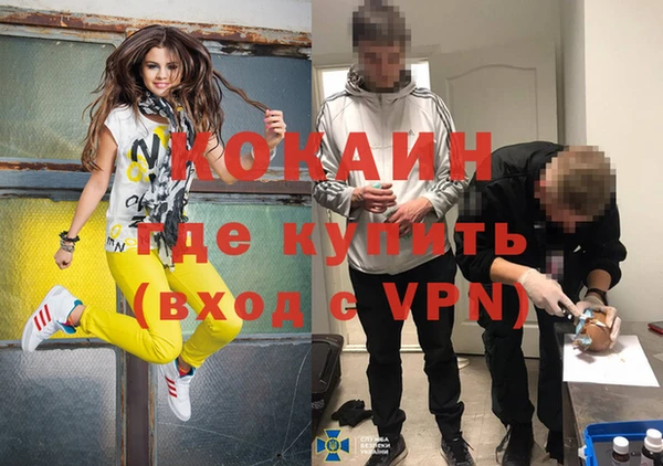 ПСИЛОЦИБИНОВЫЕ ГРИБЫ Дмитриев