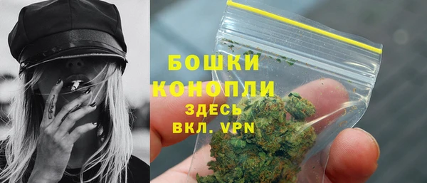 ПСИЛОЦИБИНОВЫЕ ГРИБЫ Дмитриев