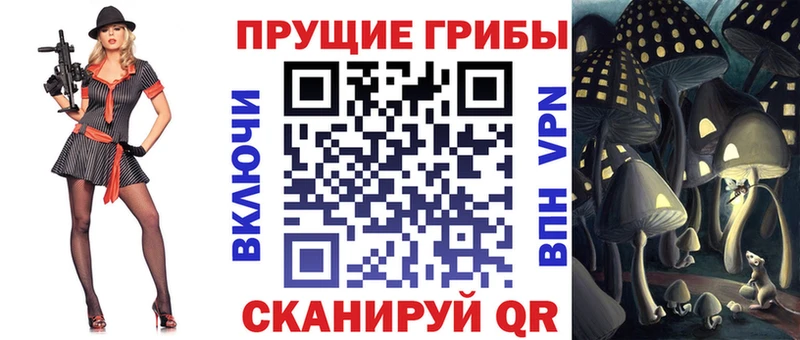 Купить закладки  Радужный  Галлюциногенные грибы Psilocybine cubensis 